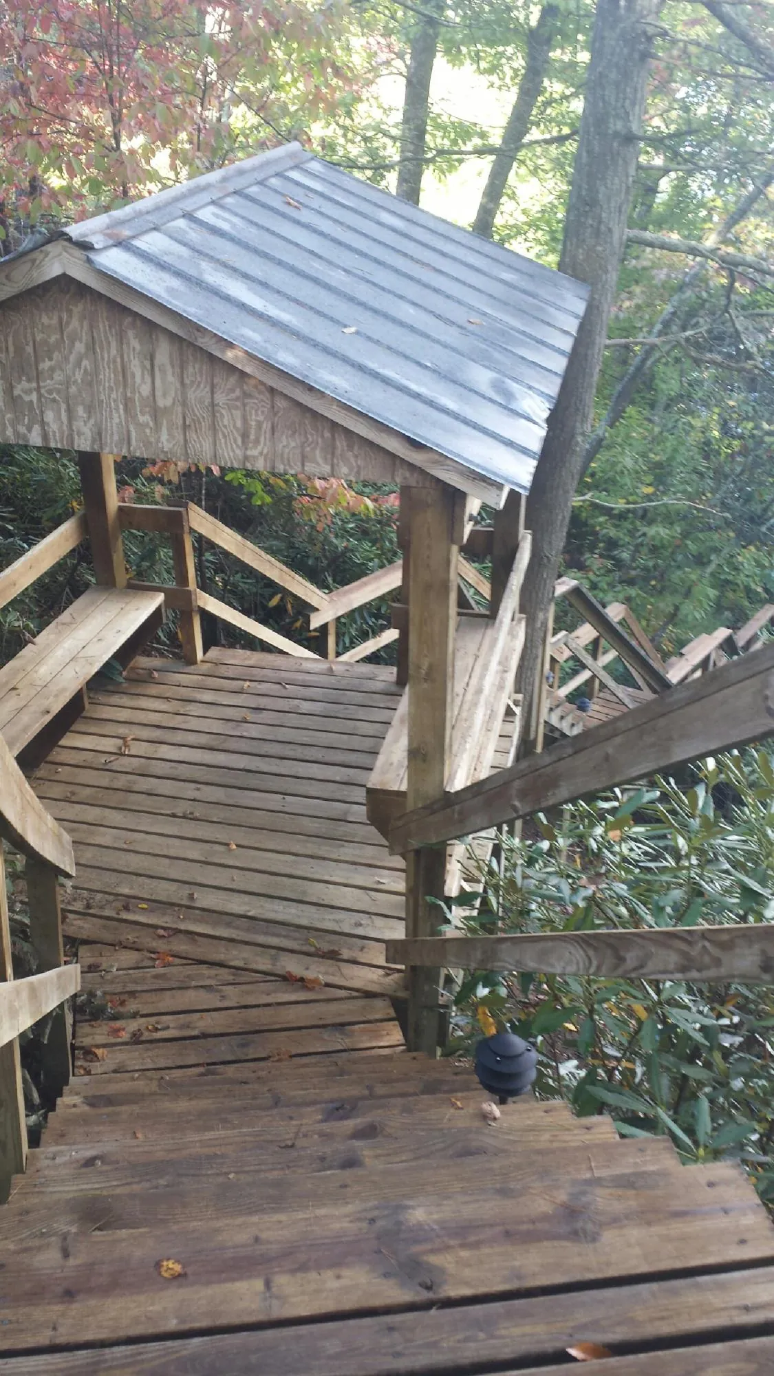 Metal roofed shelter over wooden steps on a wooded walkway — Skylight Repair & Installation work by our crew in Swaledale